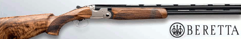 Banner Beretta